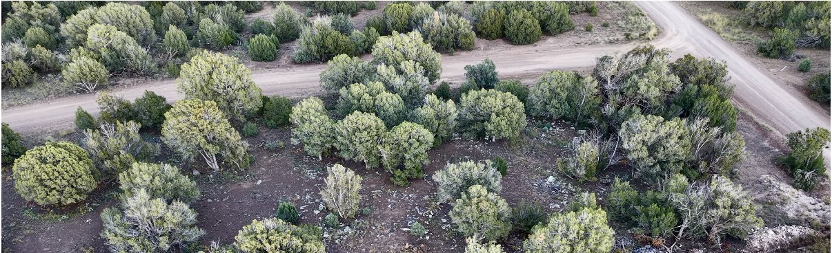 8332 Skyline Dr, Show Low AZ — foto 32