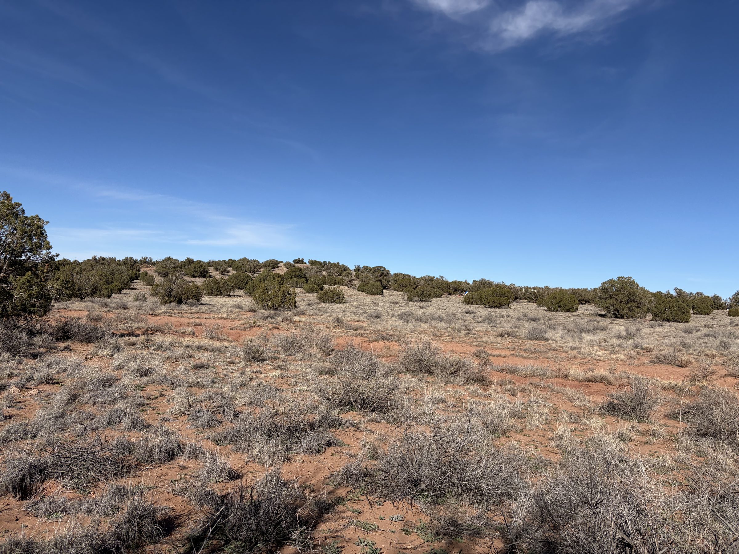 Snowflake AZ — 1.18 acres with financing available, Snowflake AZ — photo 16