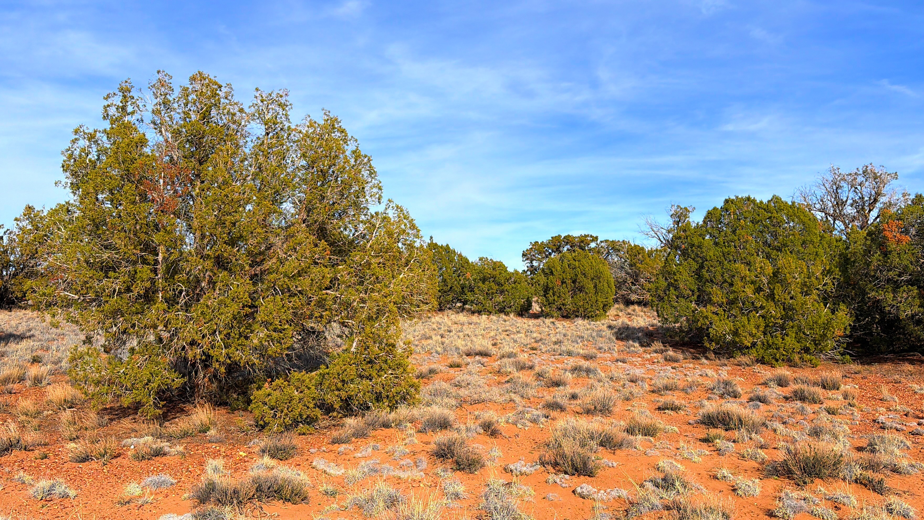 Snowflake AZ — 1.2 acres with financing available, Snowflake AZ — photo 6