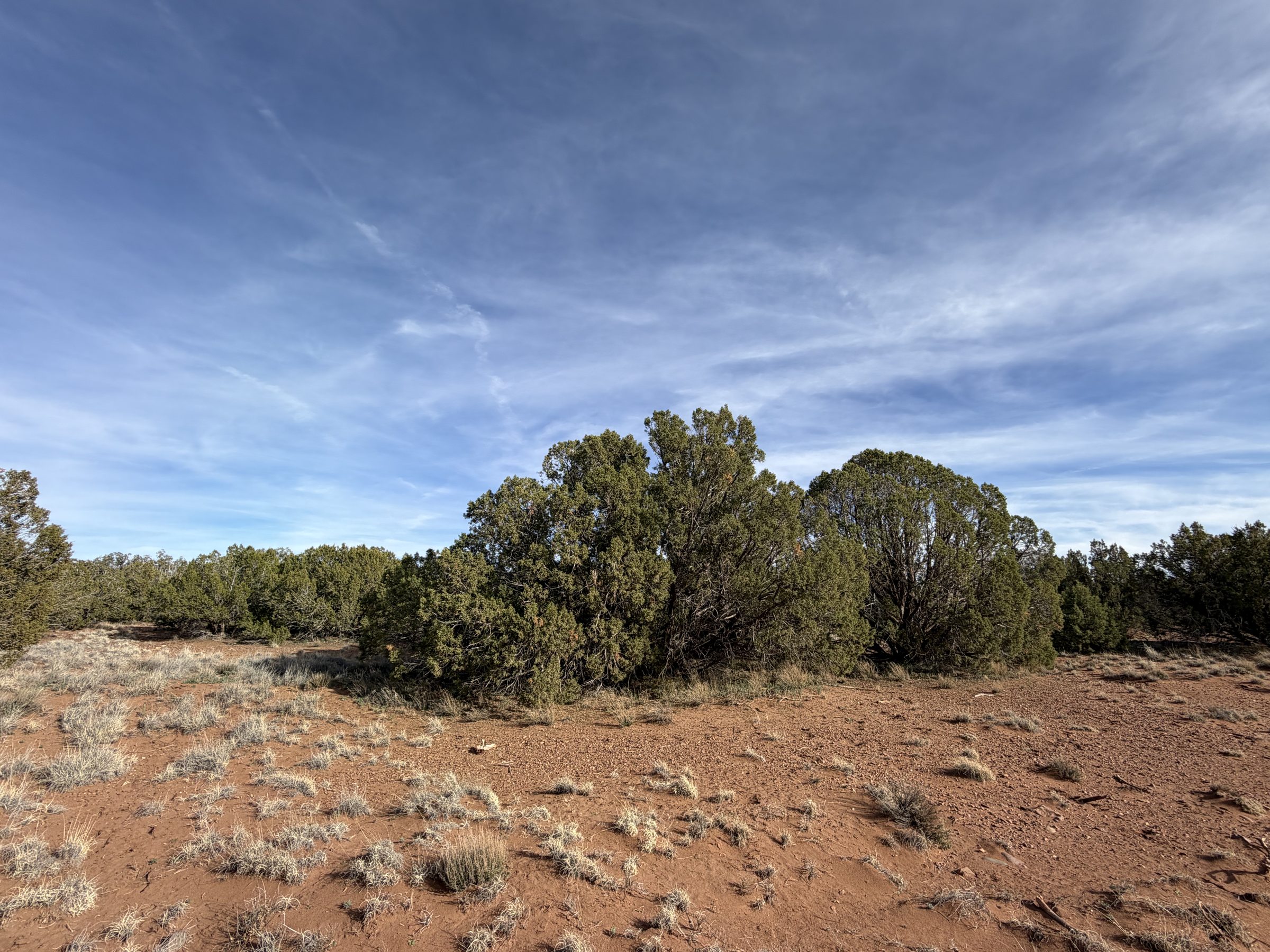 Snowflake AZ — 1.2 acres with financing available, Snowflake AZ — photo 16