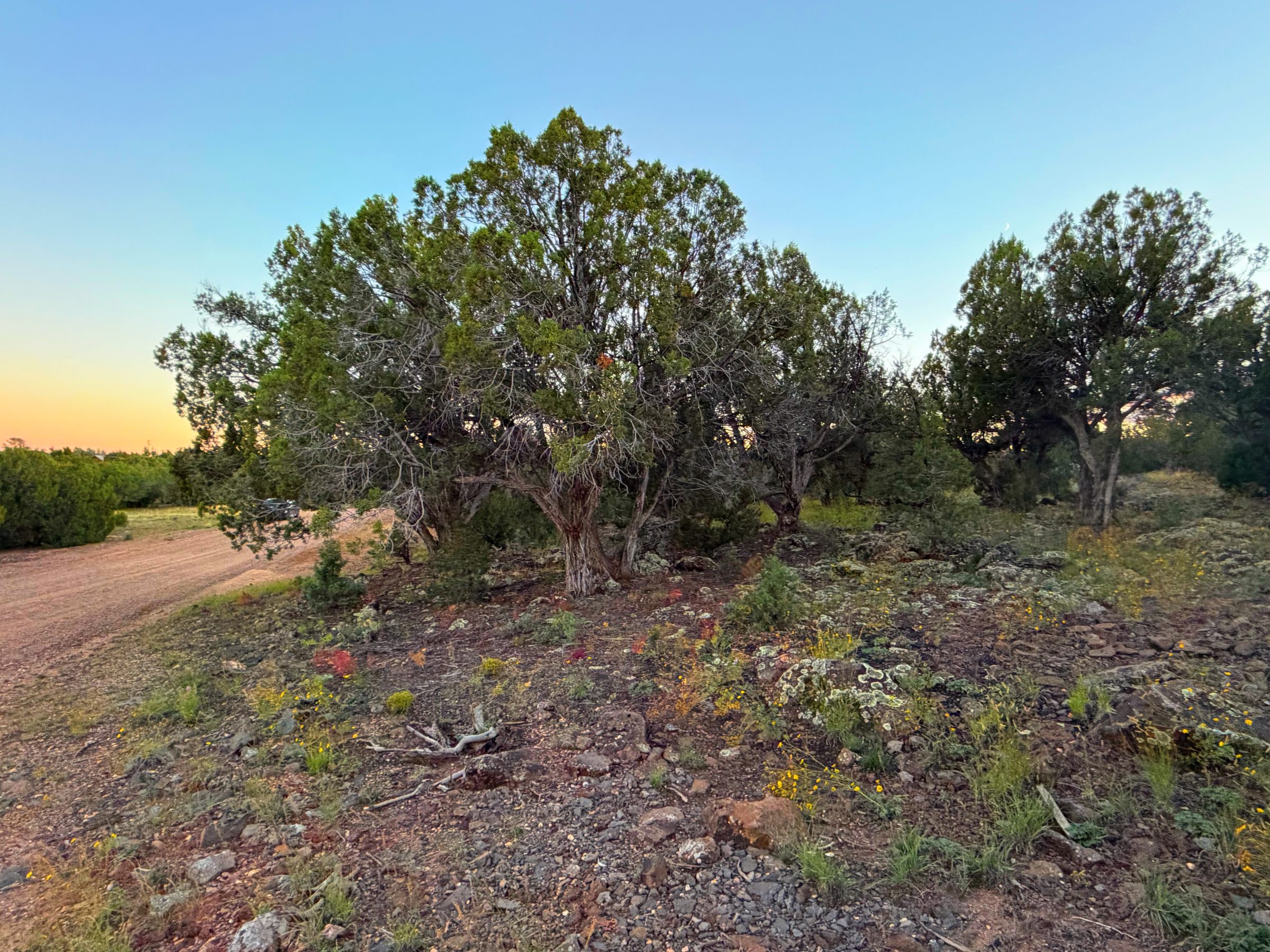 8332 Skyline Dr, Show Low AZ — foto 17