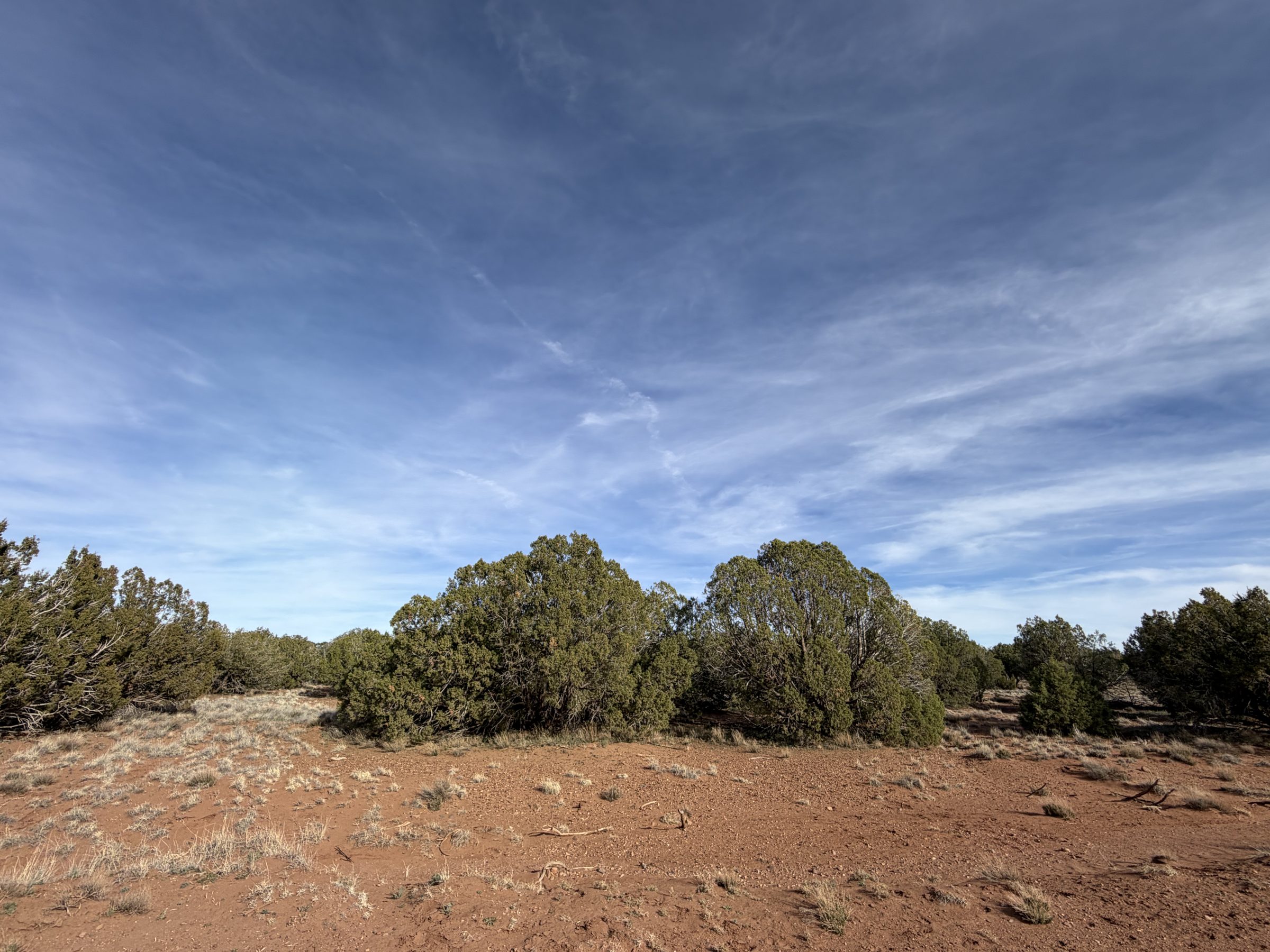 Snowflake AZ — 1.2 acres with financing available, Snowflake AZ — photo 17