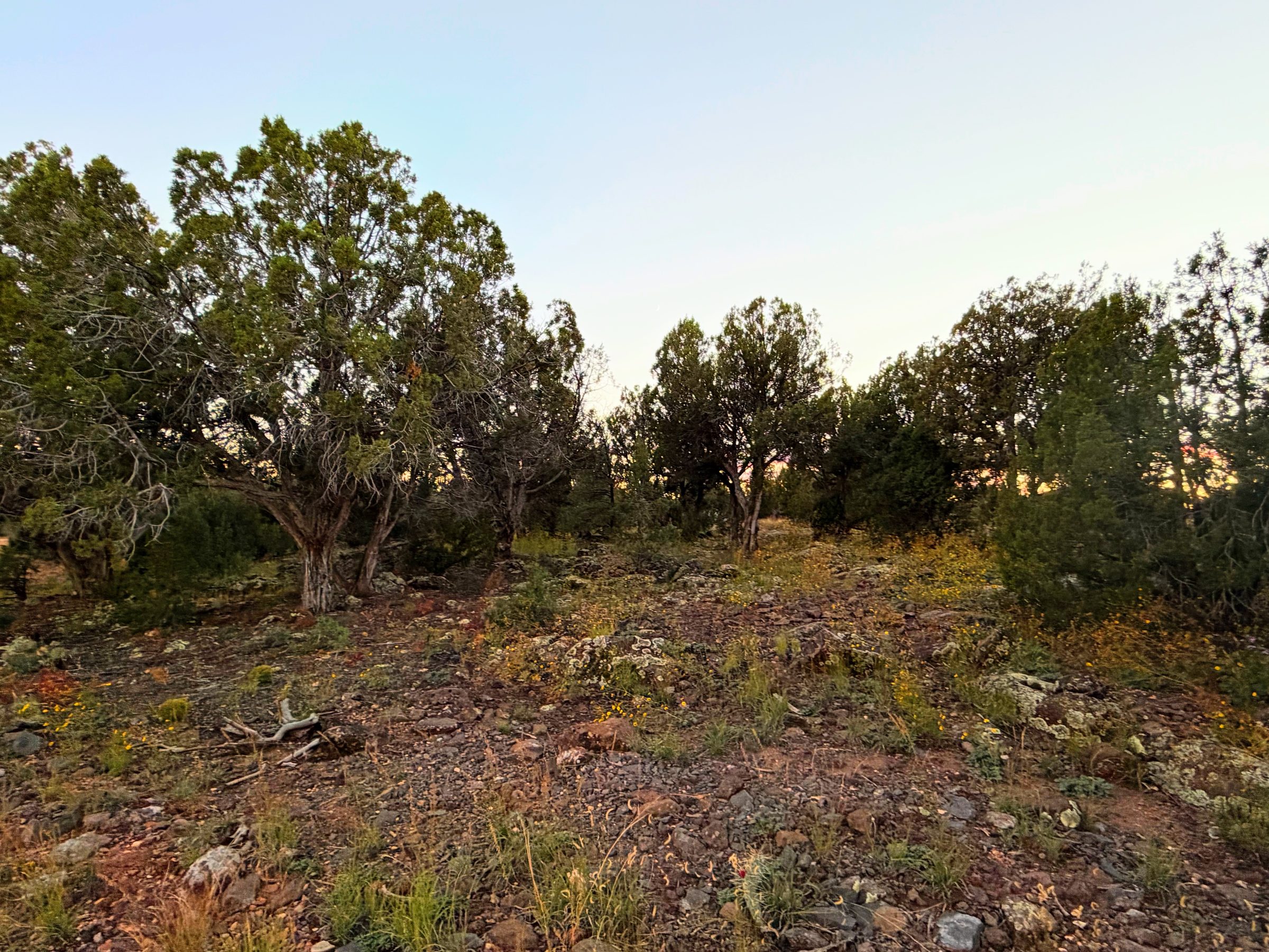 8332 Skyline Dr, Show Low AZ — foto 16