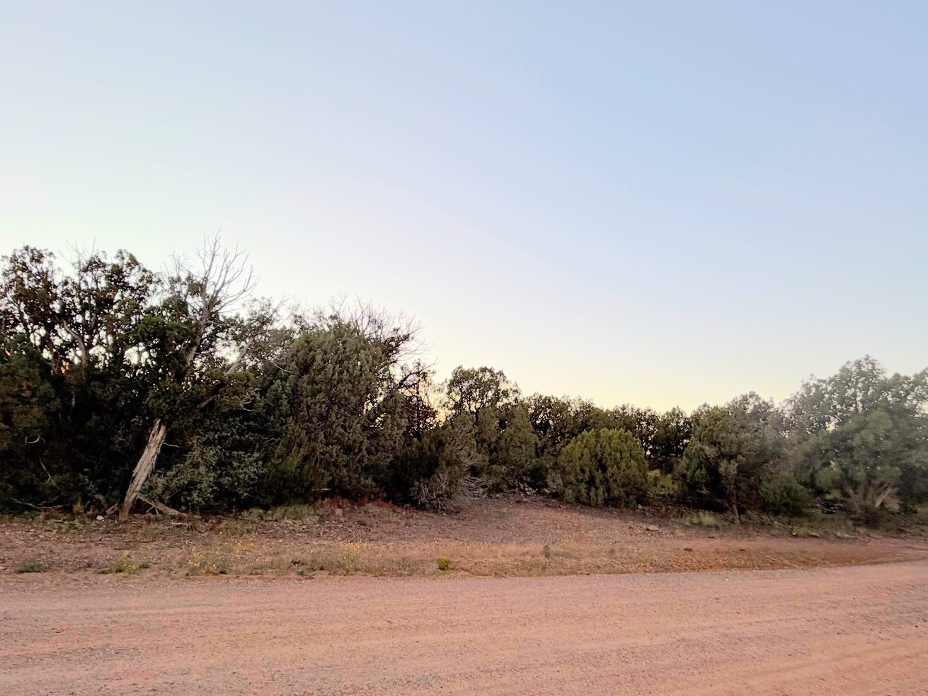 8332 Skyline Dr, Show Low AZ — foto 14