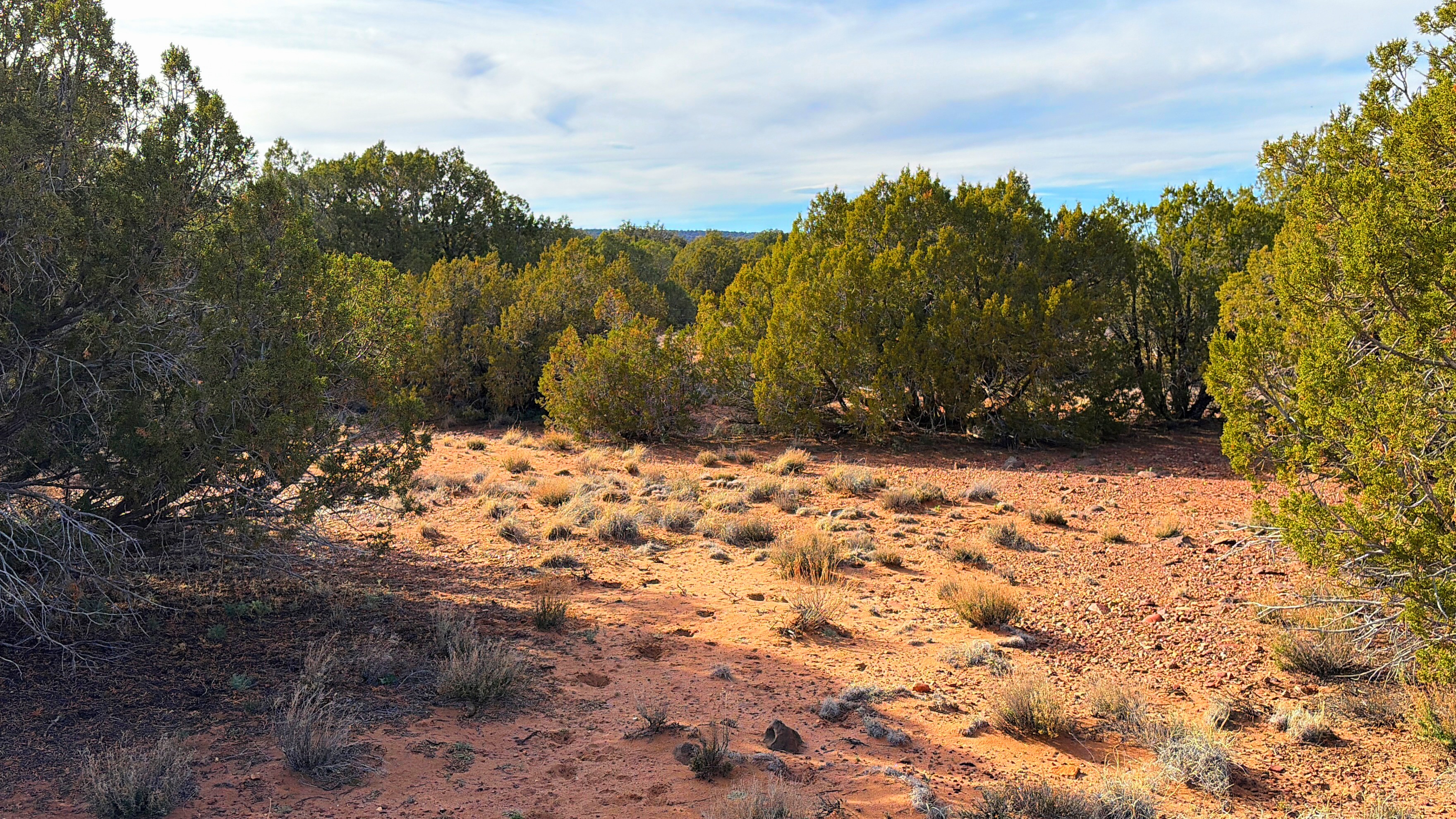 Snowflake AZ — 1.2 acres with financing available, Snowflake AZ — photo 32