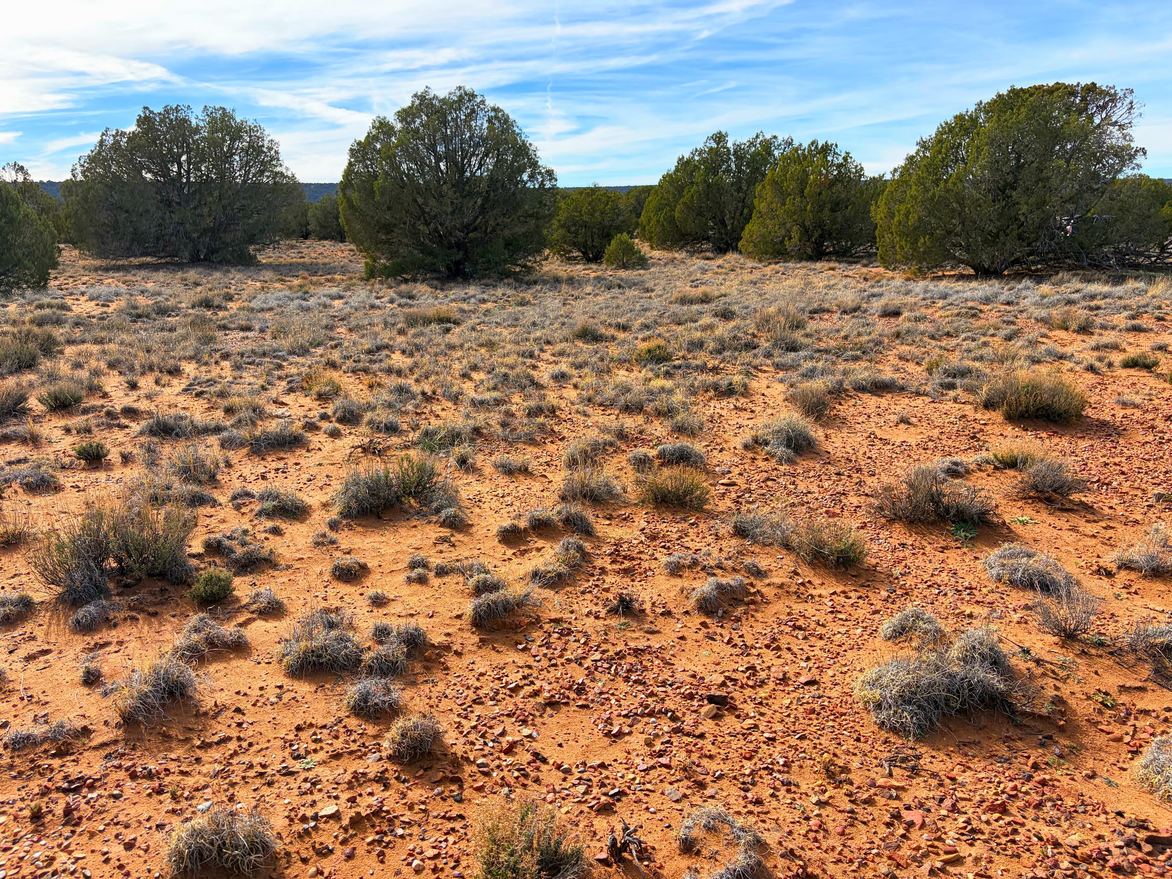 Snowflake AZ — 1.2 acres with financing available, Snowflake AZ — photo 22