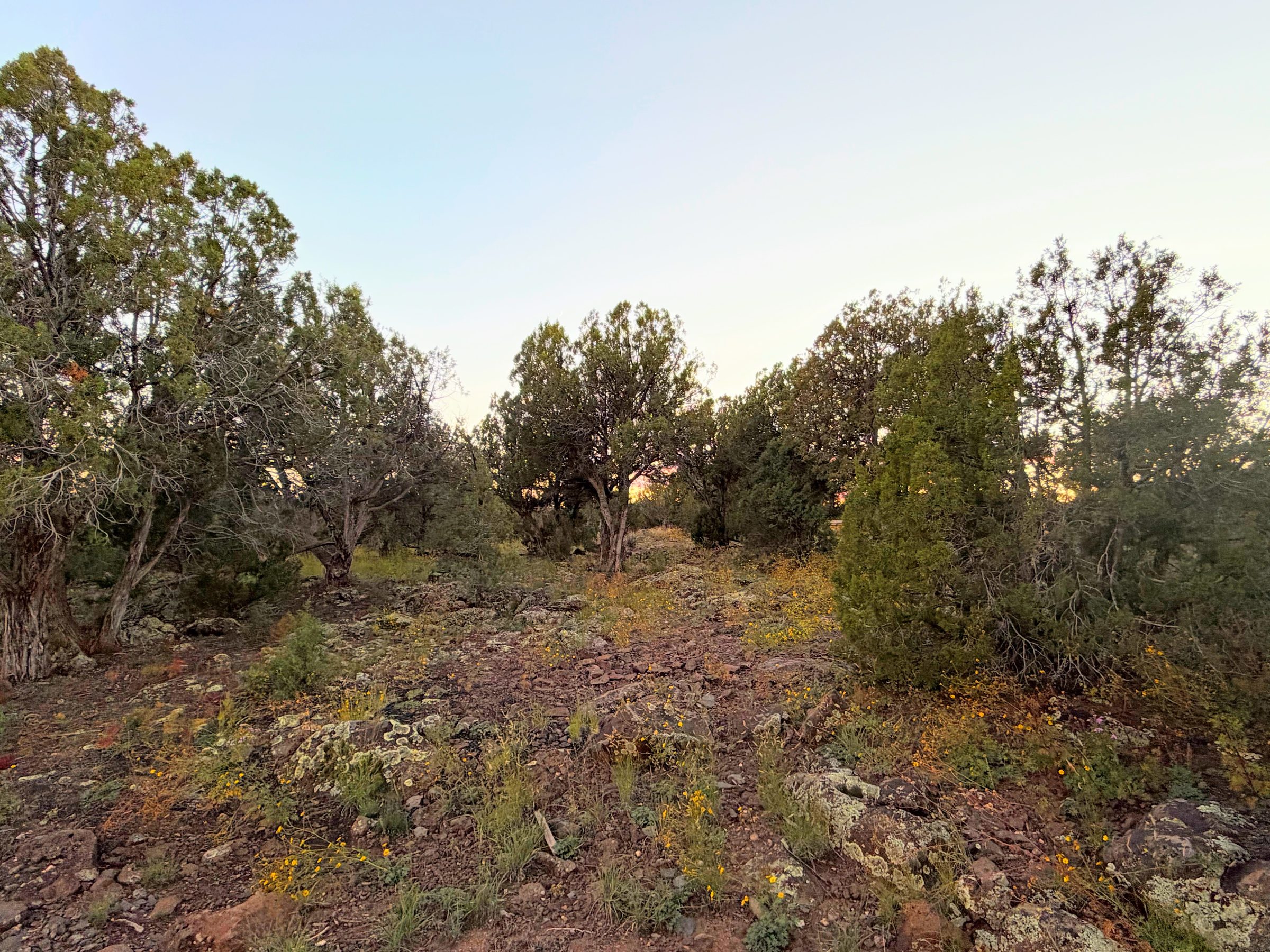 8332 Skyline Dr, Show Low AZ — foto 18
