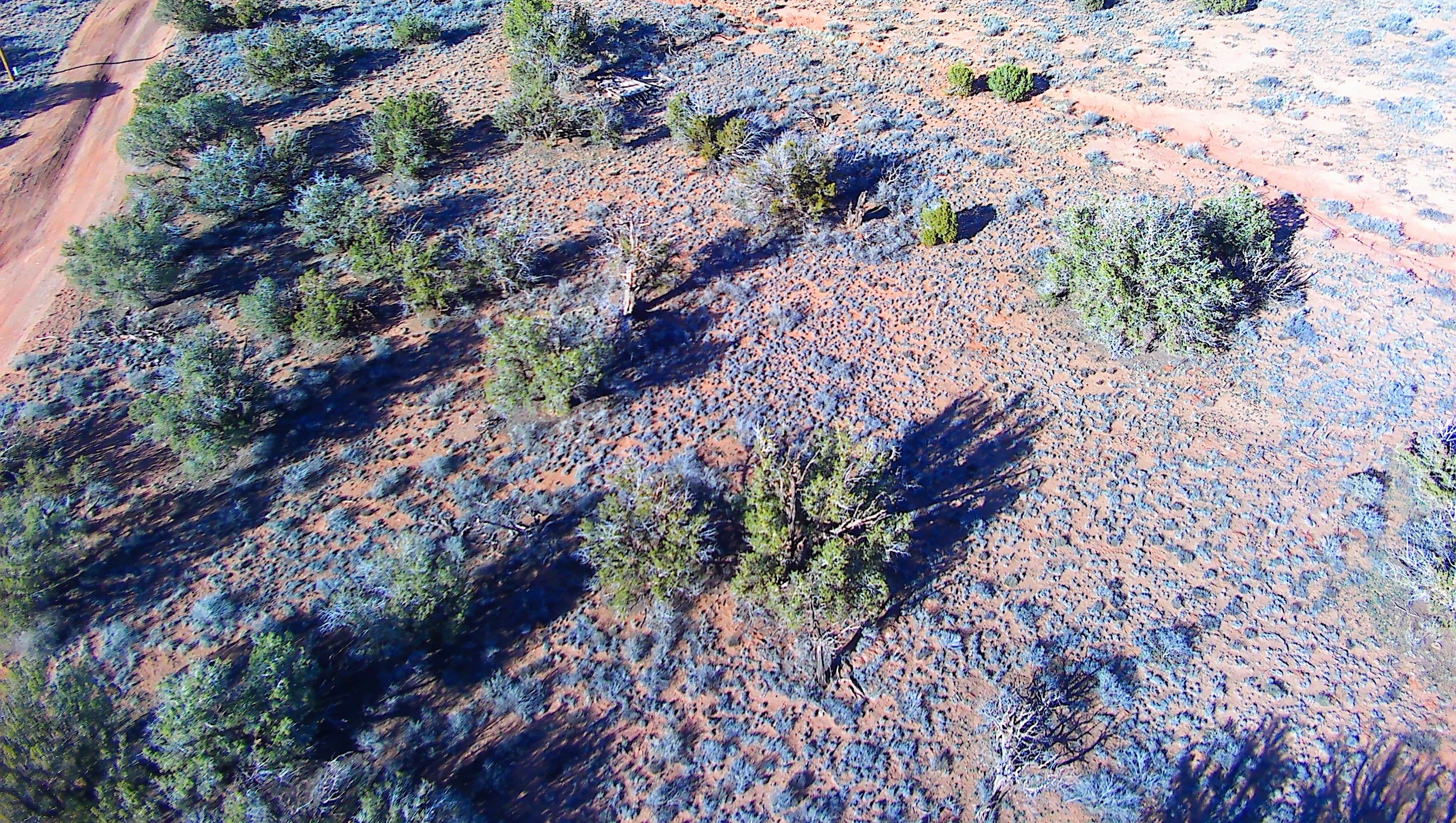 4129 Sorrel, Snowflake, AZ — 1.18 acres