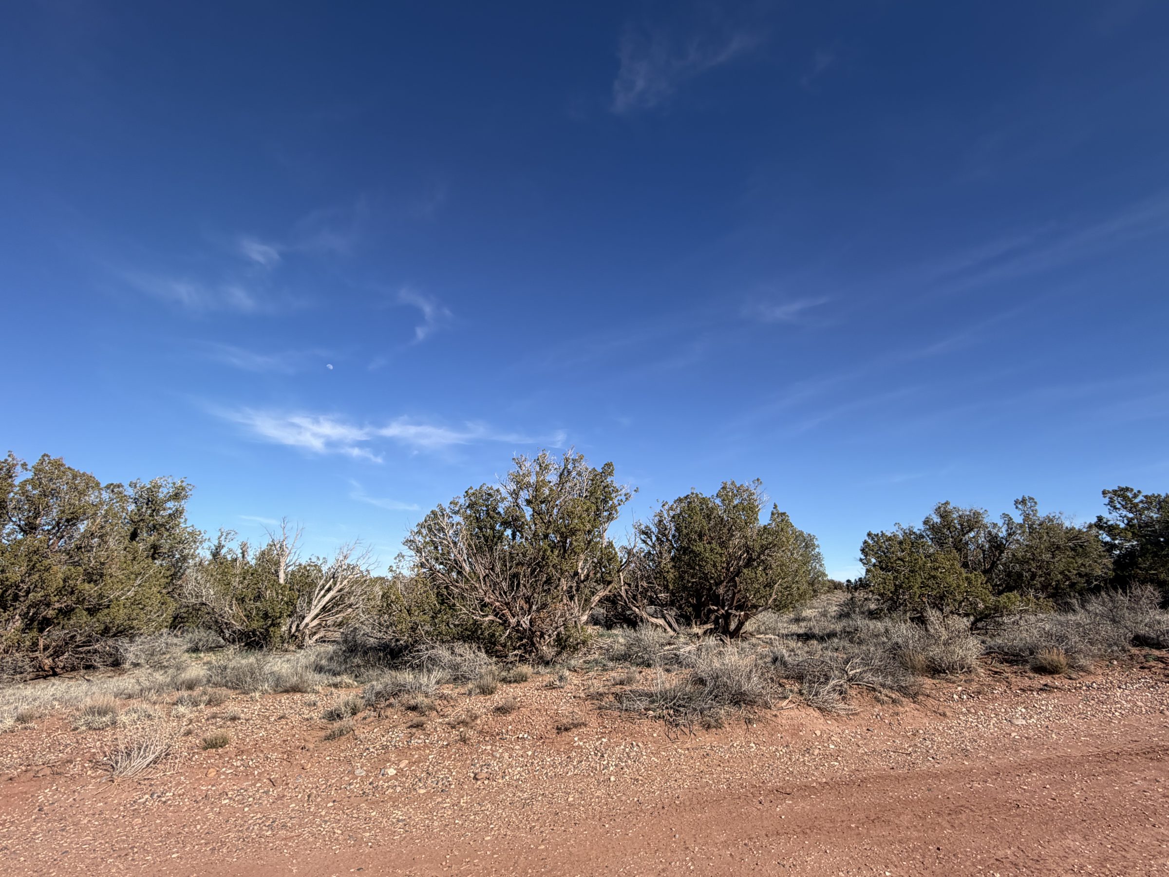 Snowflake AZ — 1.18 acres with financing available, Snowflake AZ — photo 7