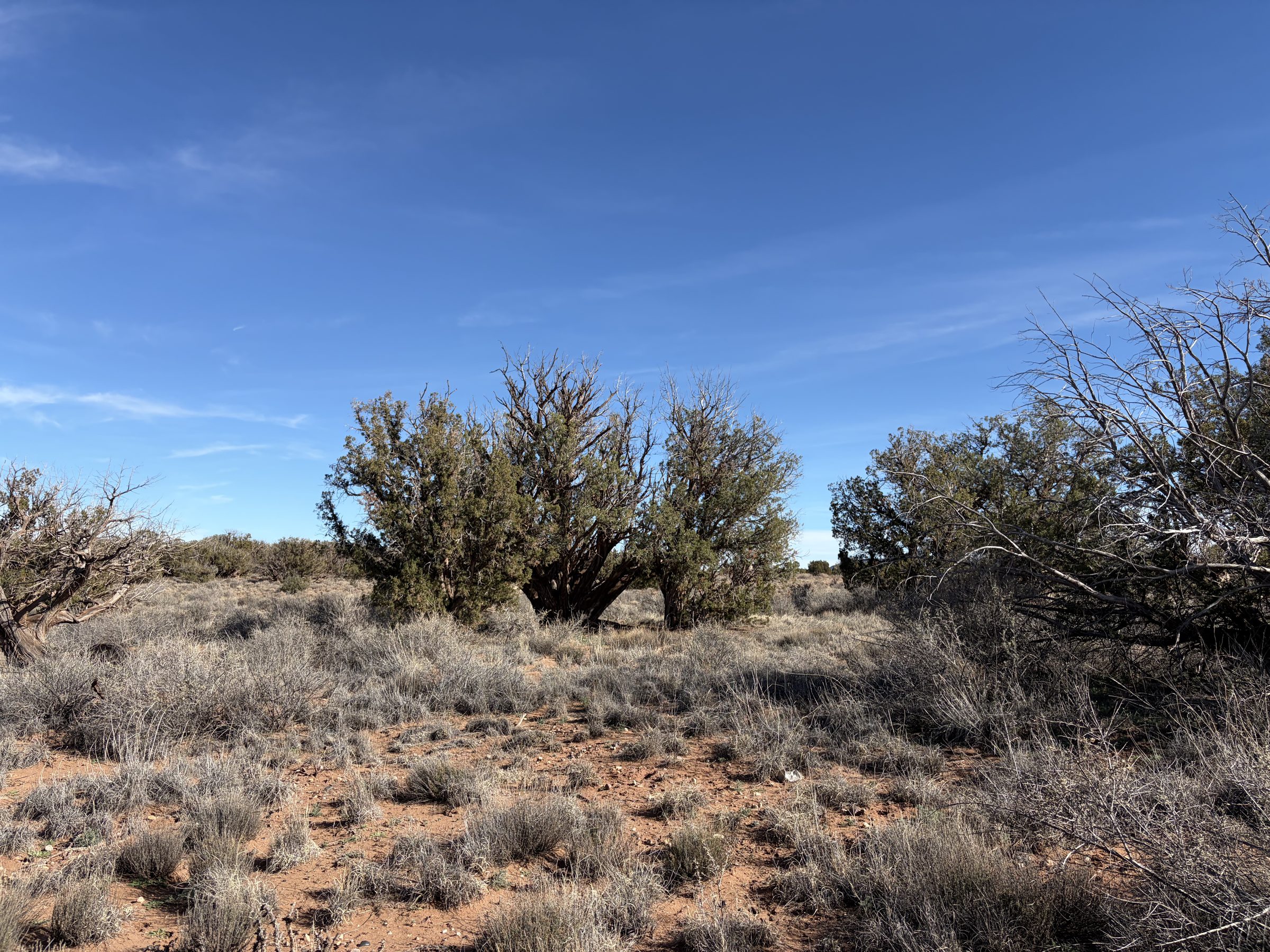 Snowflake AZ — 1.18 acres with financing available, Snowflake AZ — photo 17