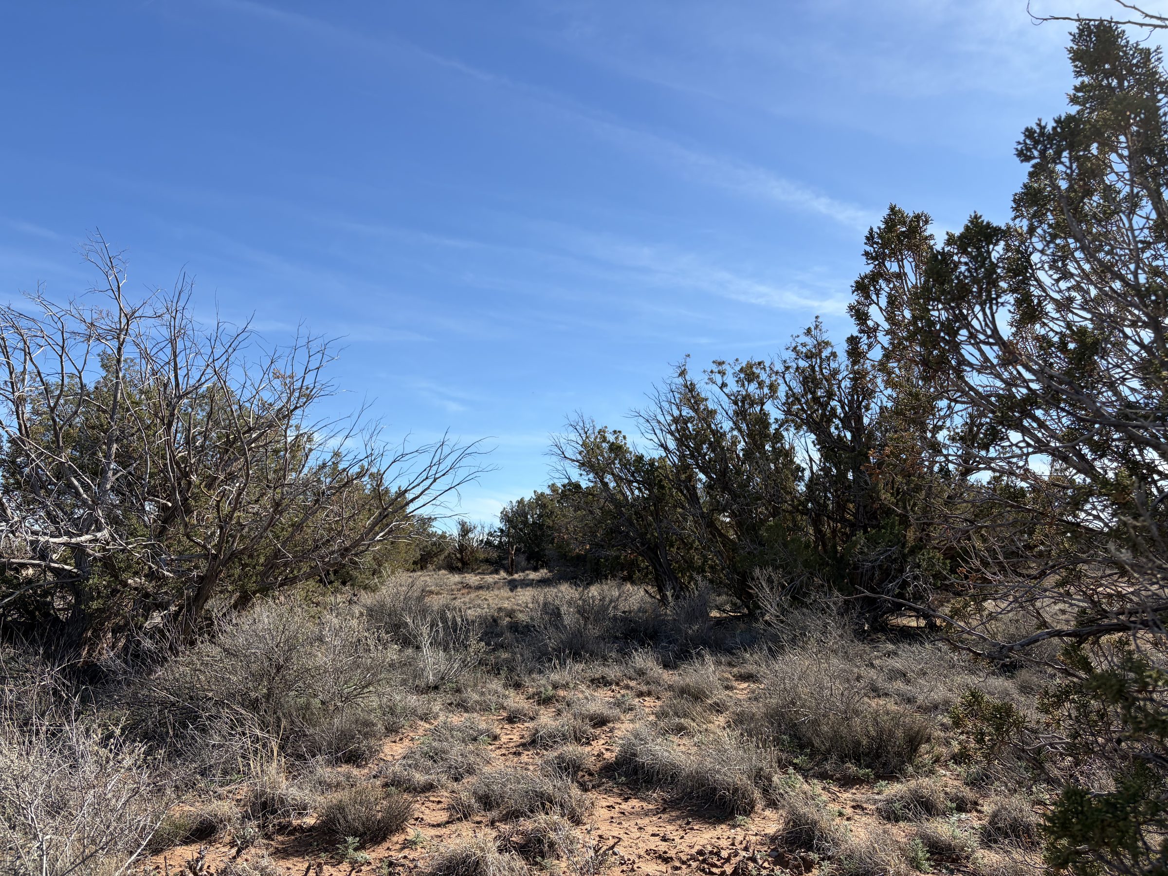 Snowflake AZ — 1.18 acres with financing available, Snowflake AZ — photo 18