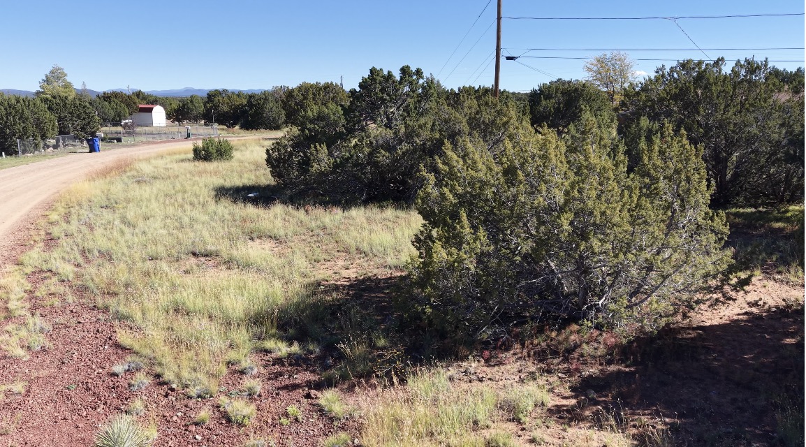 8701 Campbell Cir, Show Low AZ — photo 14