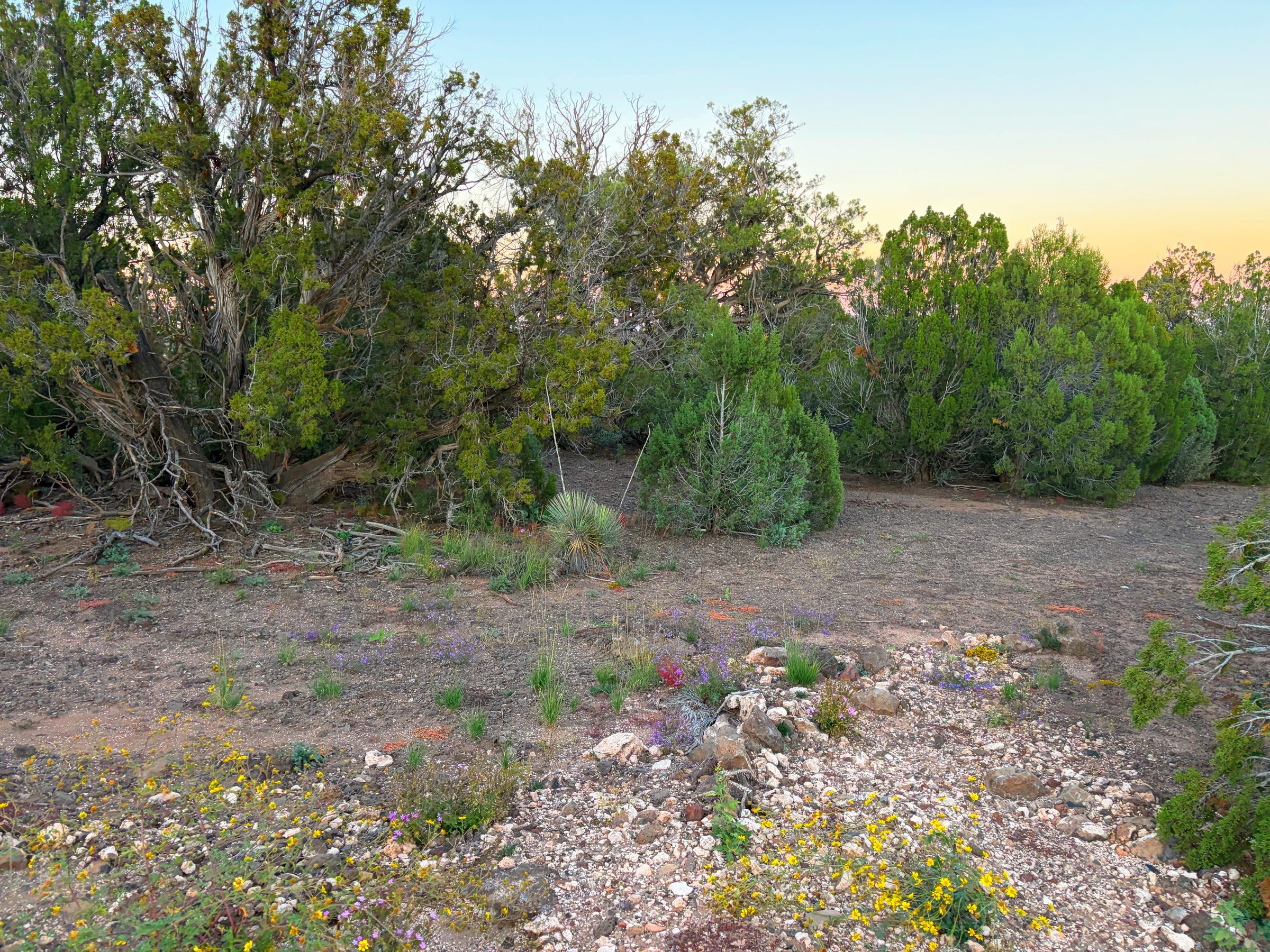 8332 Skyline Dr, Show Low AZ — foto 5