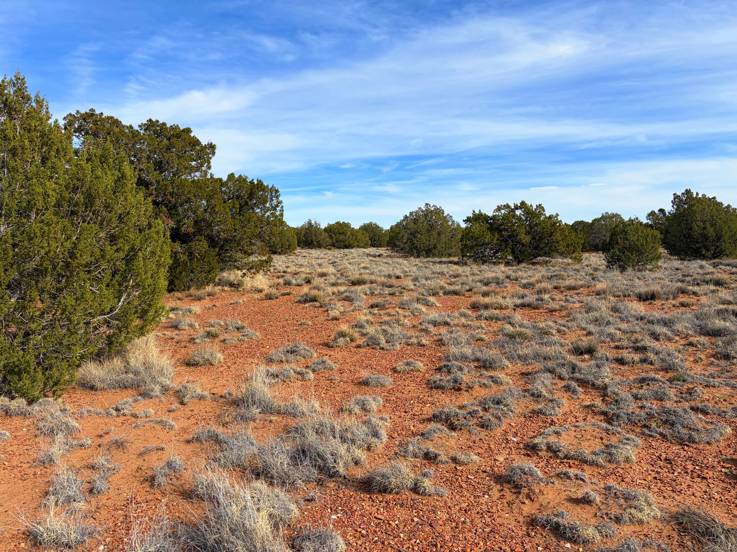 Snowflake AZ — 1.2 acres with financing available, Snowflake AZ — photo 18