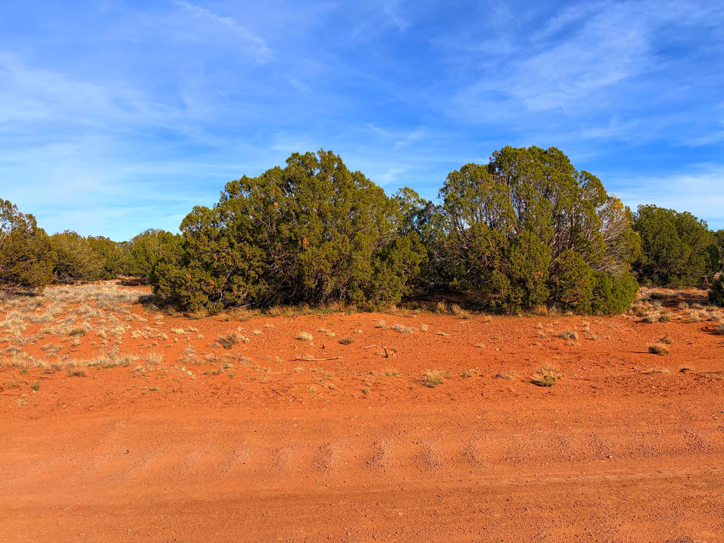 Snowflake AZ — 1.2 acres with financing available, Snowflake AZ — photo 30