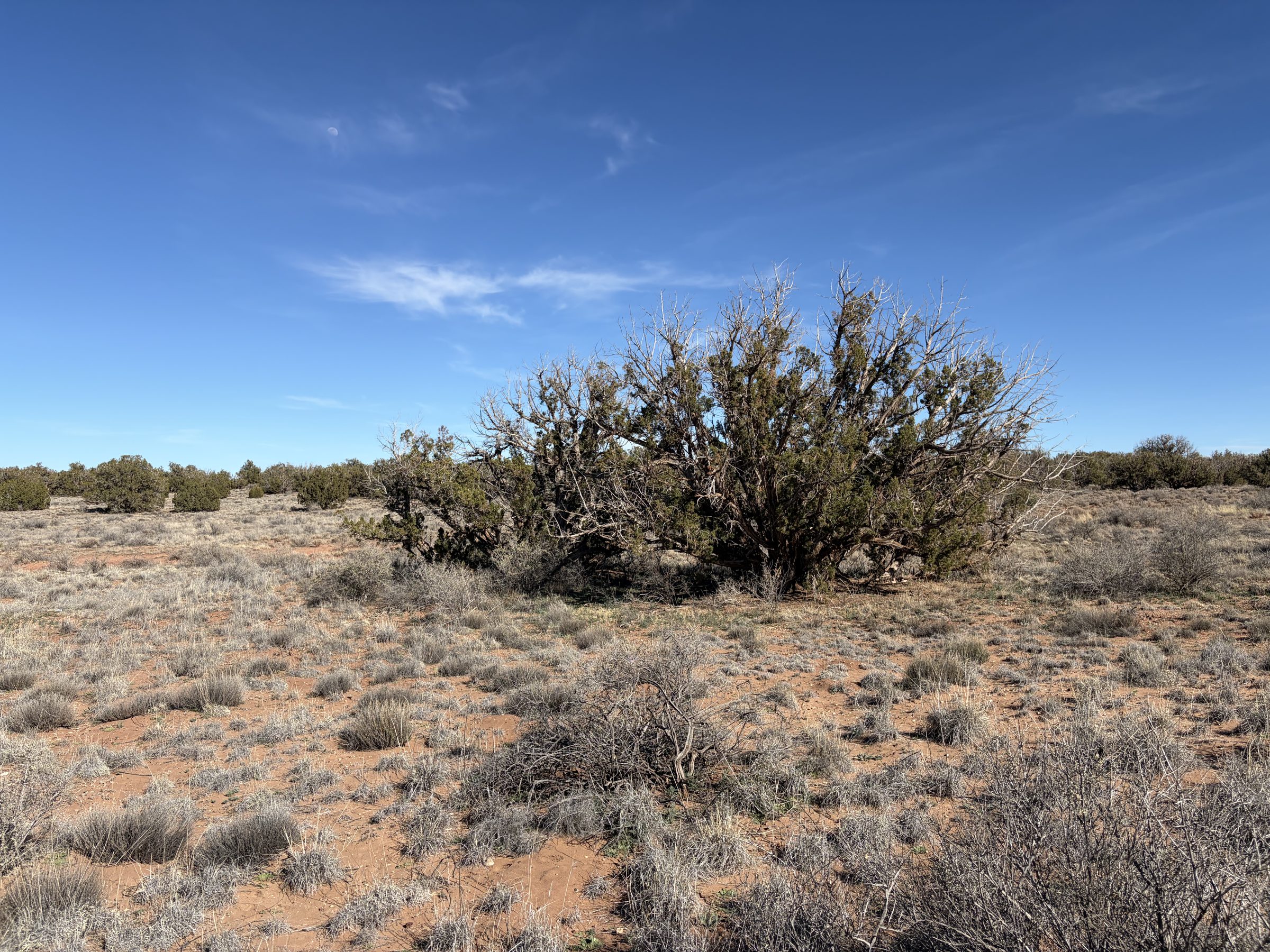 Snowflake AZ — 1.18 acres with financing available, Snowflake AZ — photo 12