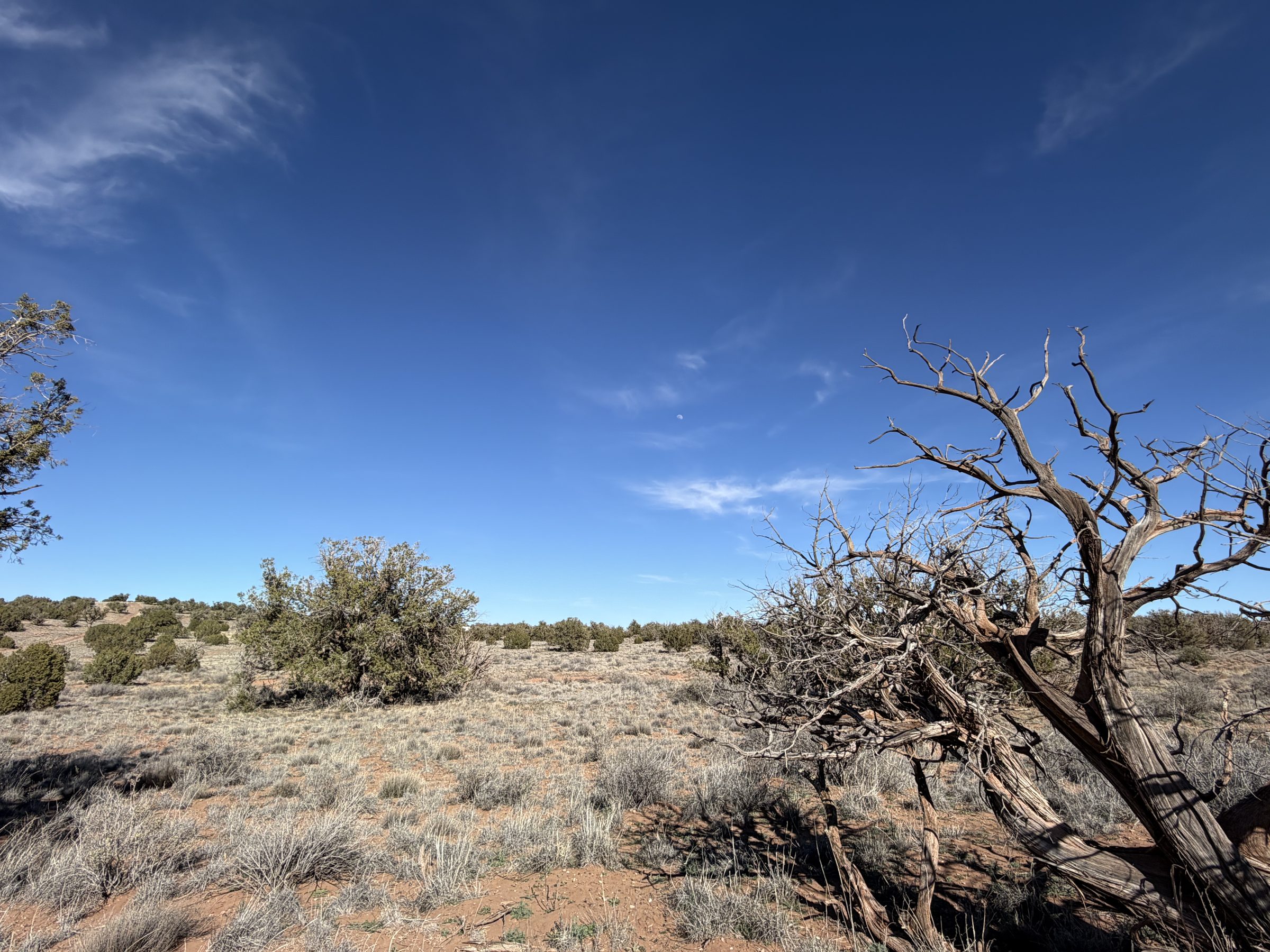 Snowflake AZ — 1.18 acres with financing available, Snowflake AZ — photo 9