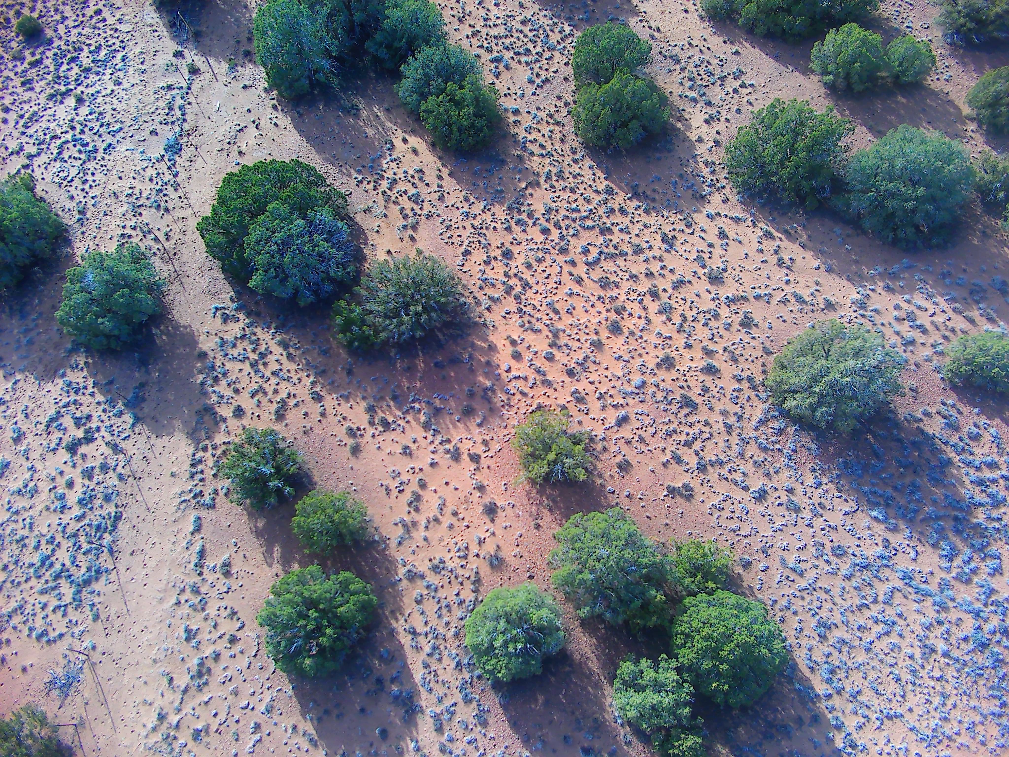 Snowflake AZ — 1.2 acres with financing available, Snowflake AZ — photo 3