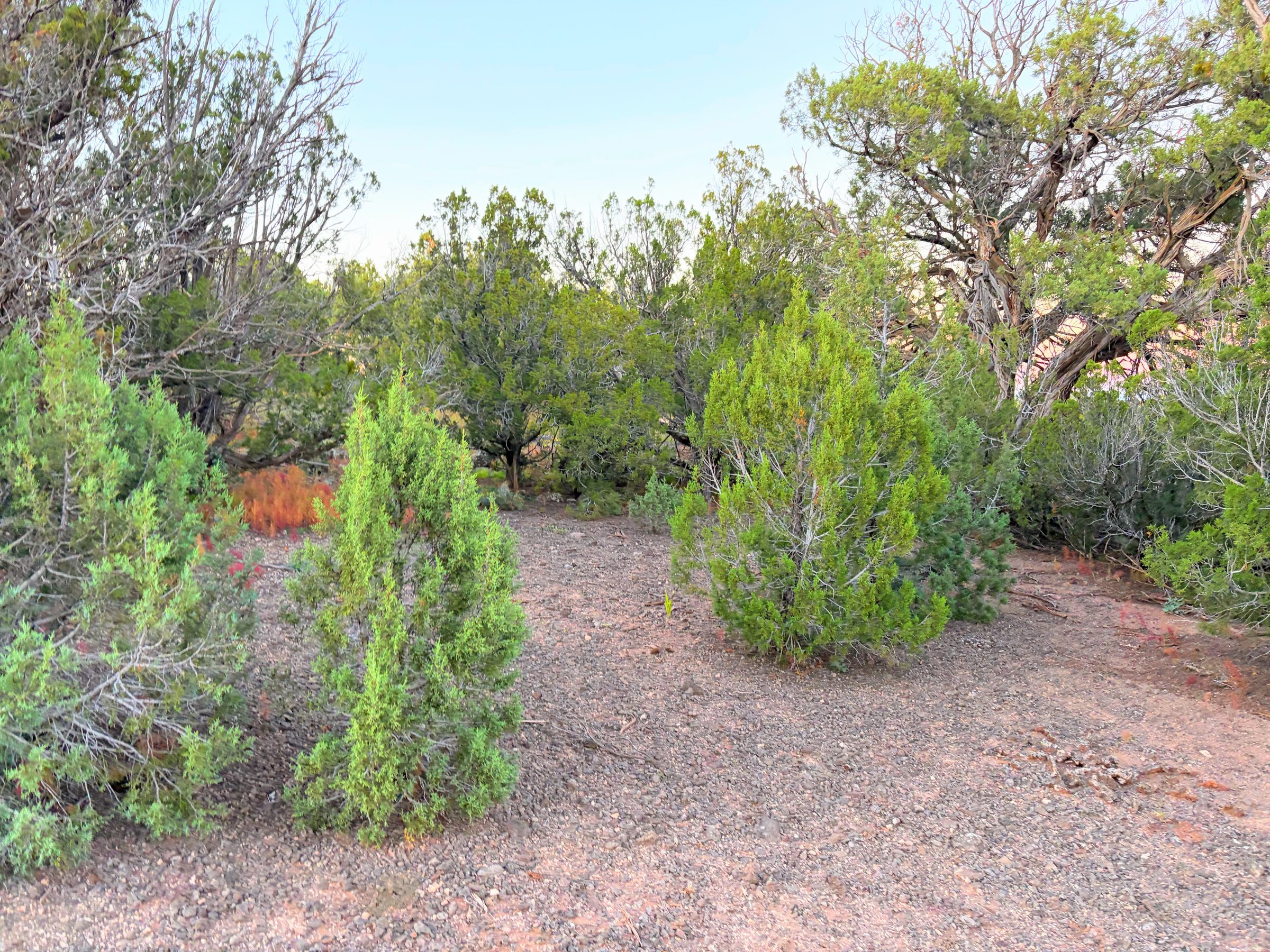8332 Skyline Dr, Show Low AZ — foto 7