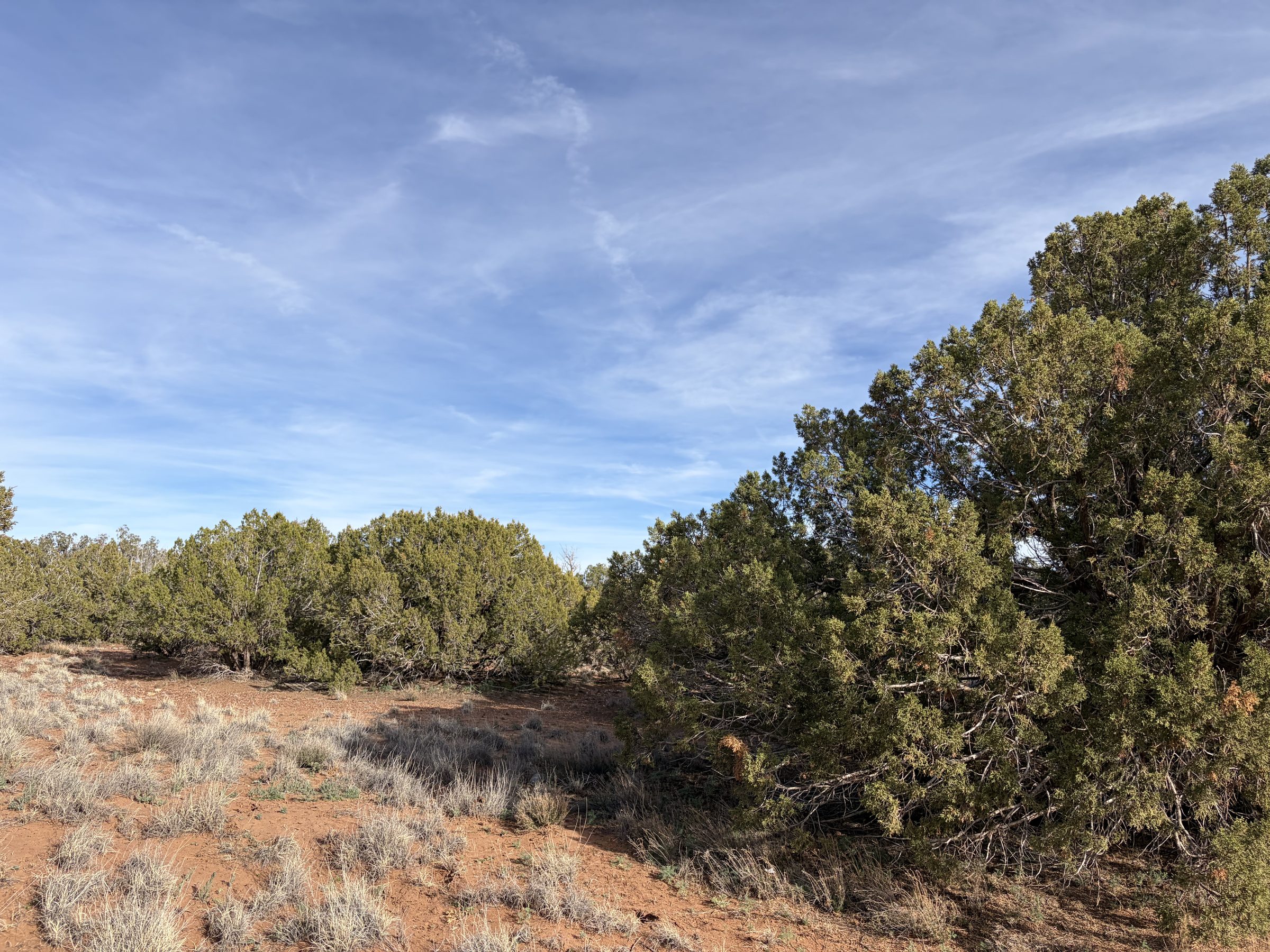 Snowflake AZ — 1.2 acres with financing available, Snowflake AZ — photo 12