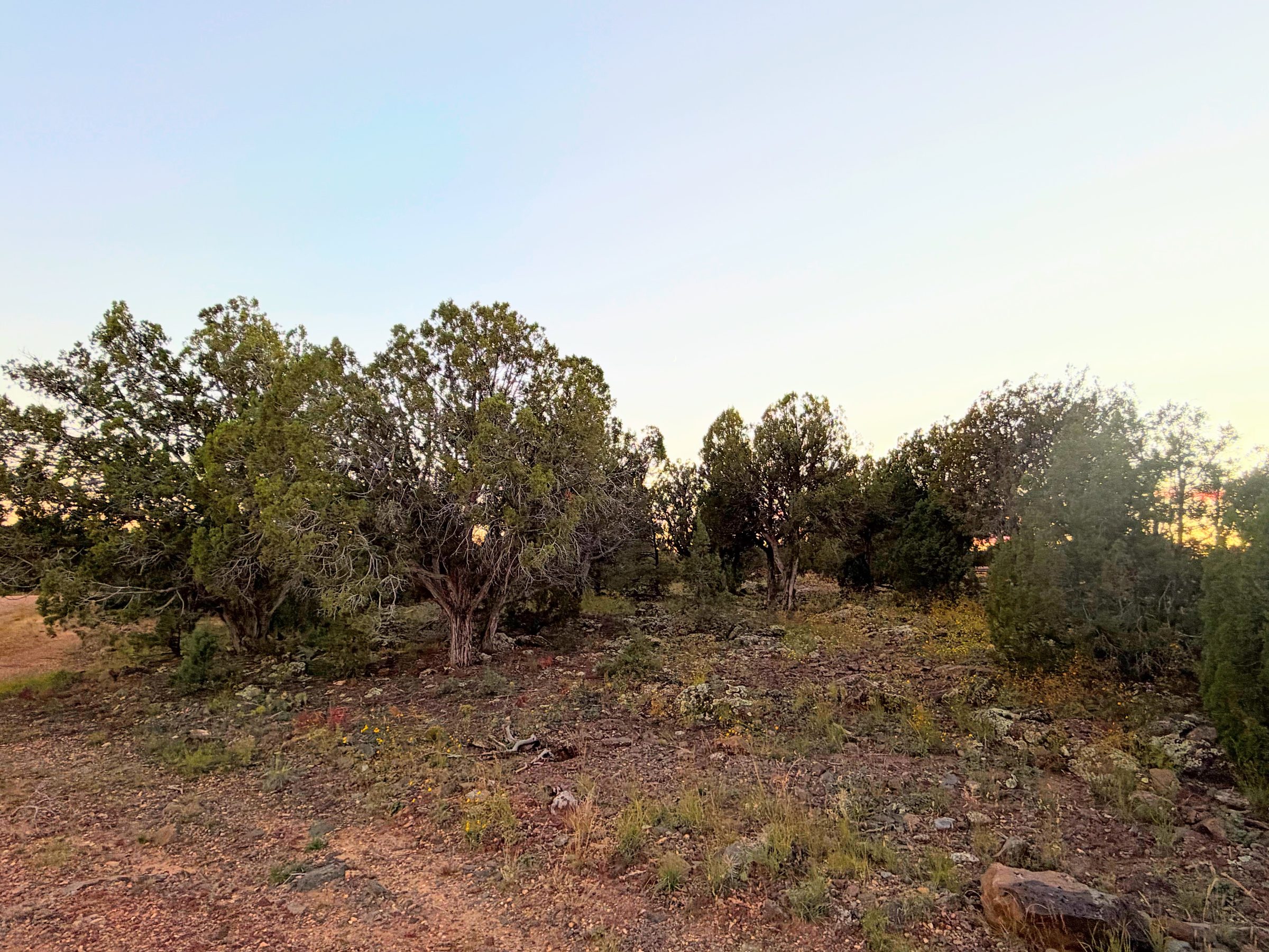 8332 Skyline Dr, Show Low AZ — foto 15