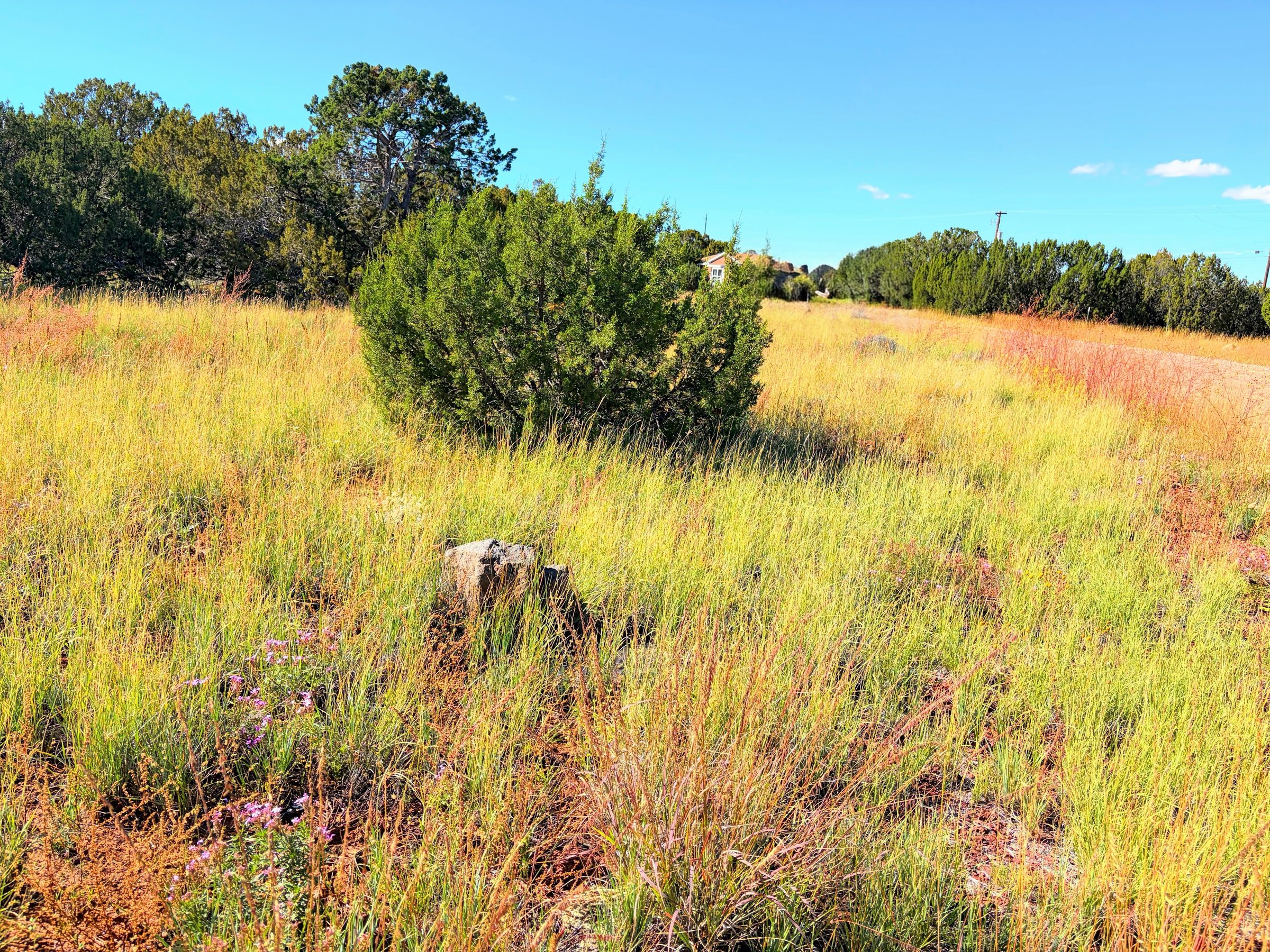 8701 Campbell Cir, Show Low AZ — photo 4