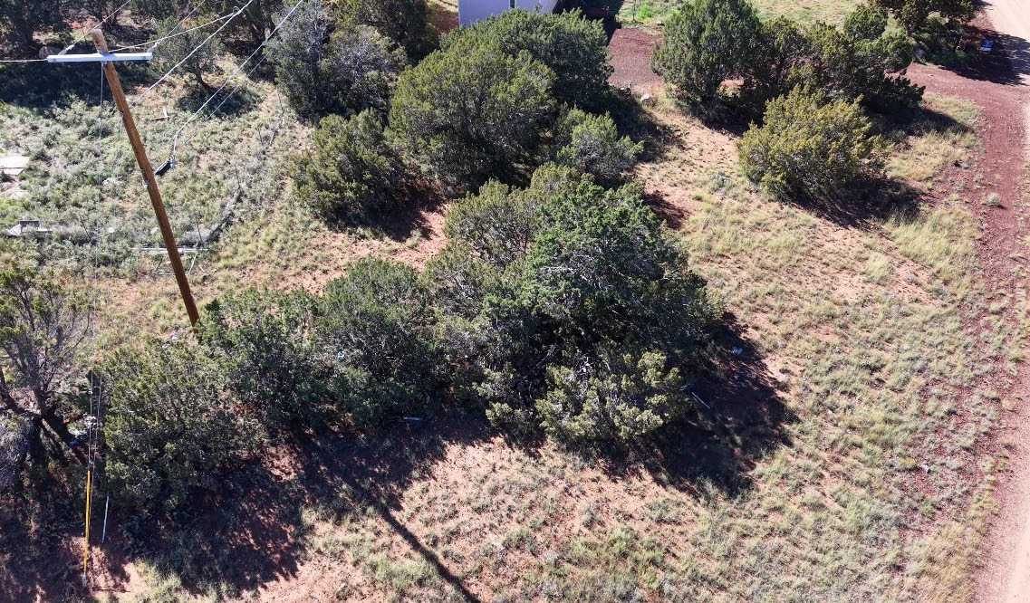 8701 Campbell Cir, Show Low AZ — photo 17