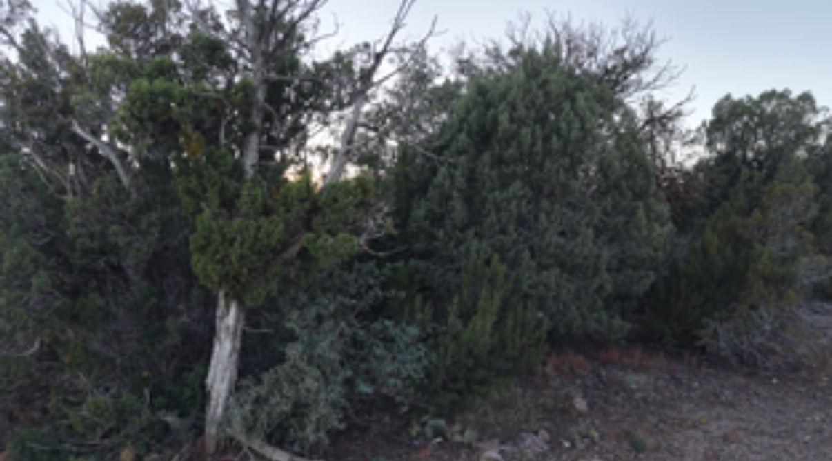 8332 Skyline Dr, Show Low AZ — foto 28