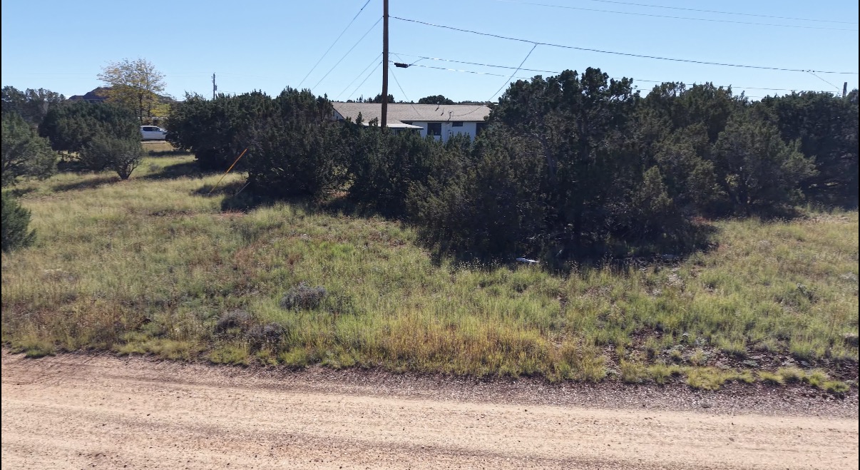 8701 Campbell Cir, Show Low AZ — photo 22