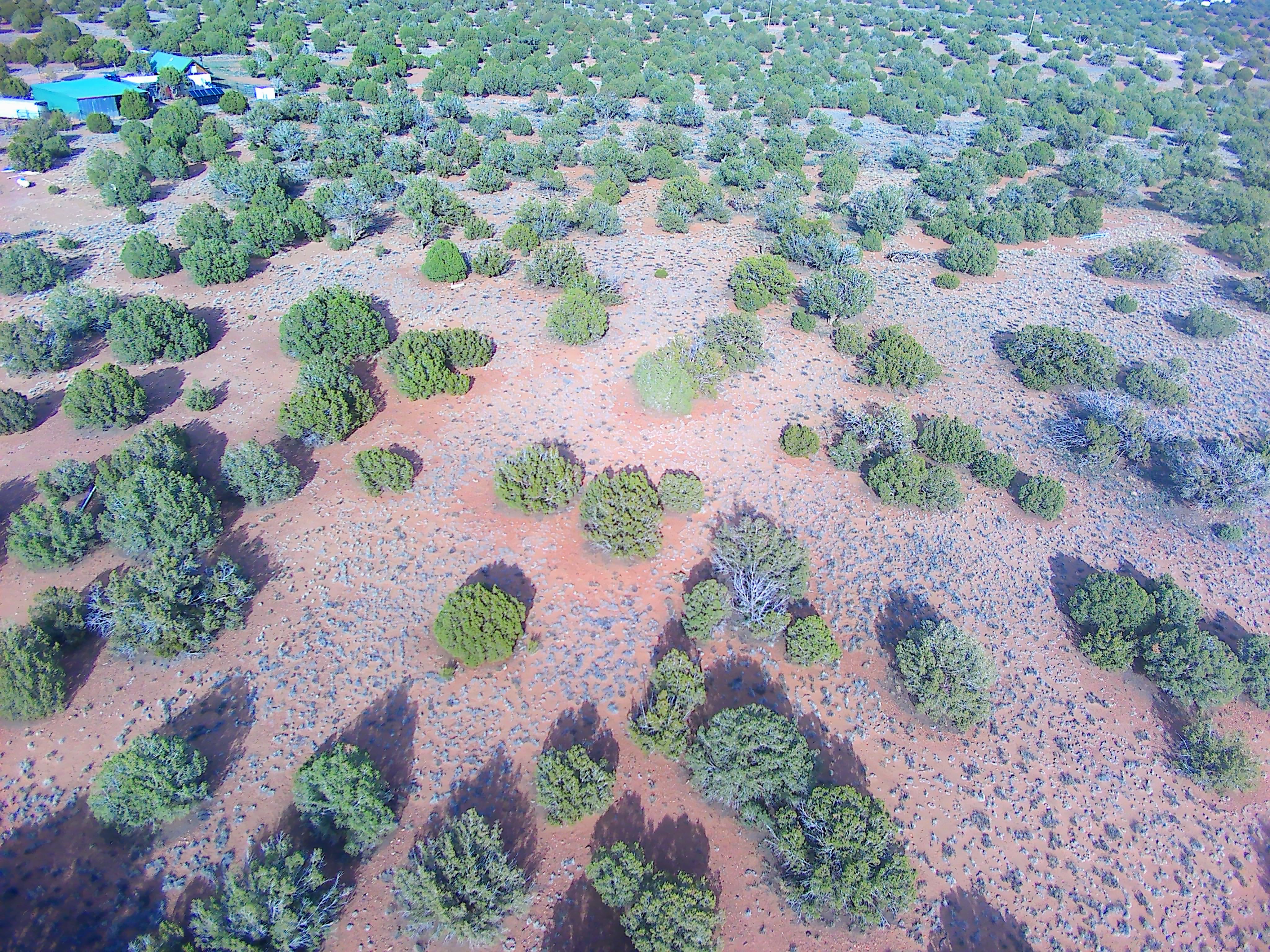 Snowflake AZ — 1.2 acres with financing available, Snowflake AZ — photo 4