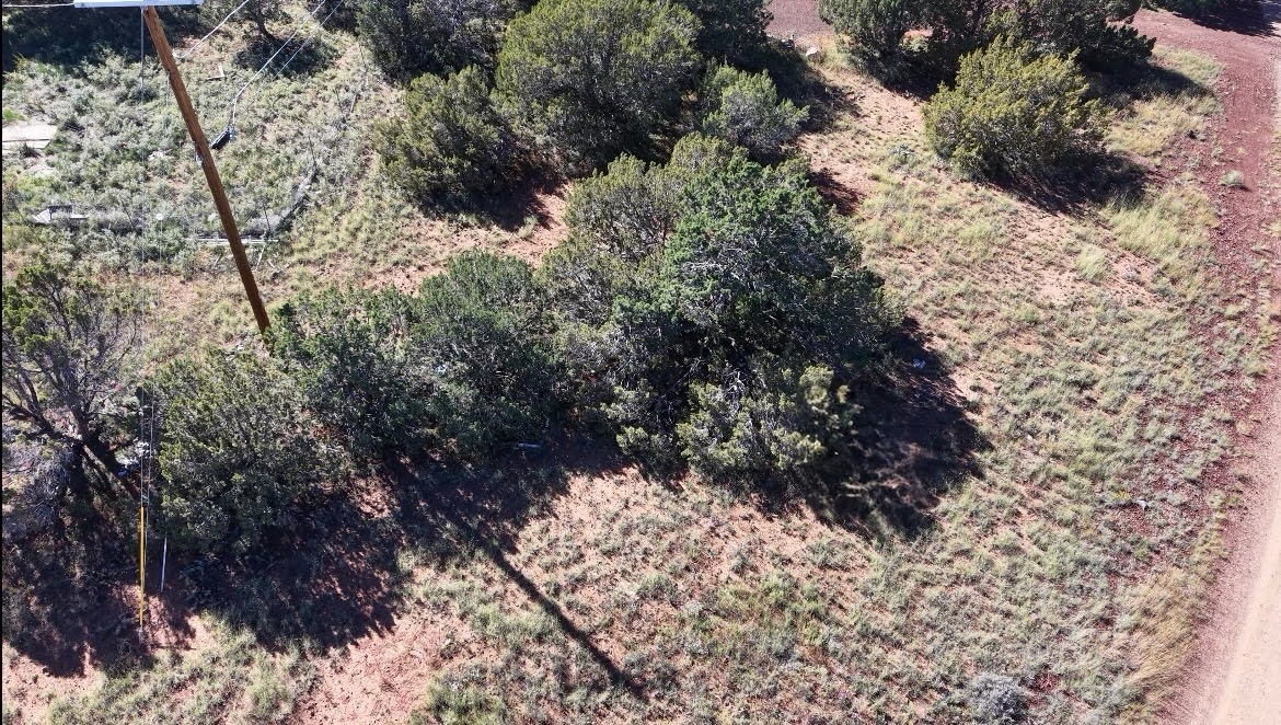 8701 Campbell Cir, Show Low AZ — photo 13